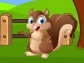 Squirrel Farm Escape 