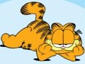 Garfield Jigsaw Puzzle Collection 