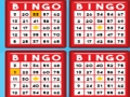 Bingo bash 