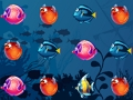 Sea World 