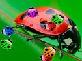 Ladybug Match3 