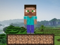 Minecraft Survival 