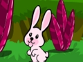 Hopping Rabbit Escape 