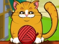 Playful Kitty 