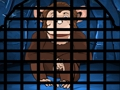 Baboon Rescue 