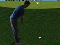 Flash Golf 3D