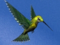 Hummingbird House Escape 