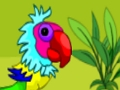 Macaw Couple Escape 