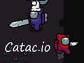 Catac. io 