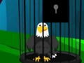 Rescue of Arno the Eagle 
