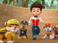 Paw Patrol Jigsaw Puzzle 