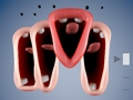 Funny Chorus 