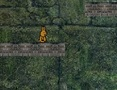Bunny Adventure