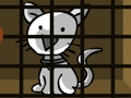 White cat rescue 