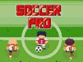 Professional football 