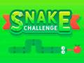 Snake Challenge 
