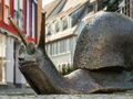 Sculpture Snail Jigsaw 