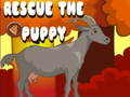 Rescue The Puppy 