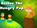 Rescue the hungry pup 