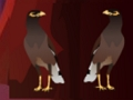 Peikin Duck Escape 