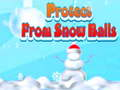 Protect From Snow Balls 