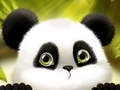 Panda Slide 
