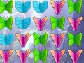 Butterfly Collector 