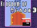 Kingdom of Ninja 3 