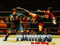 Fighters in the Ring 