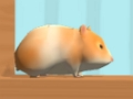 Hamster Maze Online 