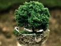 Environment Jigsaw 