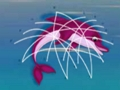 Dolphin Rescue 