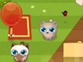 Pet Round-Up 