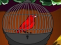 Cute Red Bird Escape 
