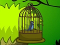 Cage Bird Escape 
