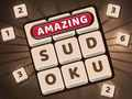 Amazing Sudoku 