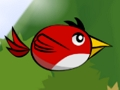 Flap The Bird 