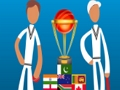 Last Man Cricket World Cup 