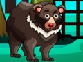 Bear Escape 