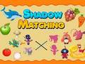 Shadow Matching 