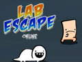 Lab Escape Online 