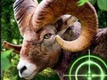 Crazy Goat Hunter 2020 
