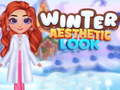 Winter Aesthetic Look 