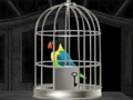 Parrots Escape 