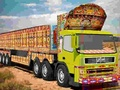 Truck Driver Cargo 