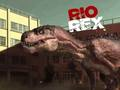 Rio Rex 