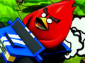 Poultry ACE Downhill 