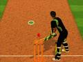 Cricket Batter Challenge 