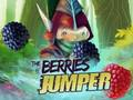 The Berries Jumper 