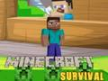 Minecraft Survival 